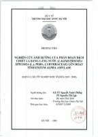 Nghiên cứu ảnh hưởng của phân dịch chiết lá bằng lăng nước (lagerstroemia specciosa (l ), pers ,lyrthraceaea) lên hoạt tính enzym alpha amylase