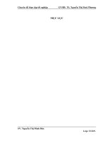 Một số giải pháp nâng cao hiệu quả sử dụng vốn lưu động tại công ty cổ phần Thép Thuận Phát