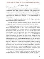 SKKN giáo dục du lịch bền vững qua môn địa lí 12 bằng phương pháp dạy học dự án