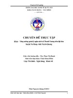 Tăng cường quản lý ngân sách xã Thanh Tương trên địa bàn huyện Na Hang  tỉnh Tuyên Quang