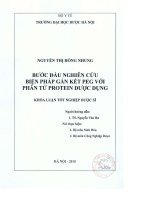 Bước đầu nghiên cứu biện pháp gắn kết PEG với phân tử protein dược dụng