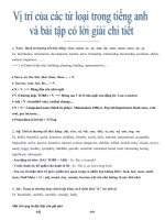 Vị trí của các từ loại trong tiếng anh