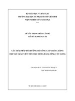 Các giải pháp bồi dưỡng để nâng cao chất lượng đội ngũ giáo viên tiểu học đồng bằng sông cửu long