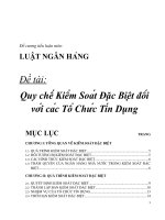 Quy chế kiểm soát đặc biệt đối với các tổ chức tín dụng