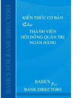 KIẾN THỨC CƠ BẢN CHO THÀNH VIÊN HỘI ĐỒNG QUẢN TRỊ NGÂN HÀNG - BASICS FOR BANK DIRECTORS