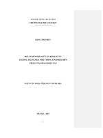 Phát triển đội ngũ cán bộ quản lý trường trung học phổ thông tỉnh điện biên trong giai đoạn hiện nay 