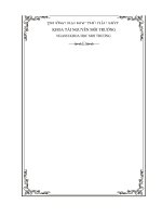 Phương pháp xử lý sinh học kỵ khí Biogas và ứng dụng