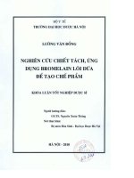 Nghiên cứu chiết tách, ứng dụng bromelain lõi dứa để tạo chế phẩm