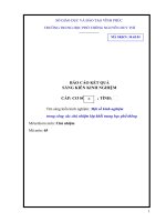 SKKN một số kinh nghiệm trong công tác chủ nhiệm lớp khối trung học phổ thông