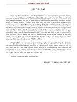 Chuyên đề tội phạm trong lĩnh vực sở hữu trí tuệ