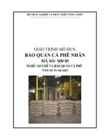 Giáo trình modun bảo QUẢN CÀ PHÊ NHÂN