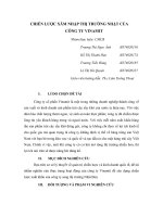 CHIẾN LƯỢC XÂM NHẬP THỊ TRƯỜNG NHẬT CỦA CÔNG TY VINAMIT