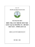 Điều tra cây thuốc dân tộc giáy tại xã mường vi   huyện bát xát   tỉnh lào cai