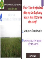 SLIDE khảo sát một số mẫu giống nếp cẩm địa phương trong vụ xuân 2015 tại gia lâm hà nội