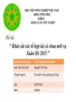 SLIDE khảo sát các tổ hợp lai cà chua mới vụ xuân hè 2015