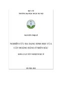 Nghiên cứu đa dạng sinh học của hoàng đằng ở miền bắc