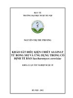 Khảo sát điều kiện chiết alginat từ rong mơ và ứng dụng trong cố định tế bào saccharomyces cerevisiae