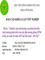 SLIDE nghiên cứu ảnh hưởng của phân lân đến sinh trưởng phát triển của cây đậu tương giống DT96 trồng vụ xuân hè năm 2015 tại gia lâm – hà nội