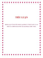 BÌNH LUẬN về NGUYÊN NHÂN lạm PHÁT ở VIỆT NAM và VAI TRÒ của CHÍNH SÁCH TIỀN tệ GIAI đoạn 1 2007  9 2011 