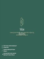 Mẫu edos light plus 2 powerpoint template 2 0 2   dark 