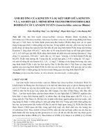 Ảnh hưởng của kinetin và sự kết hợp giữa kinetin và 2,4d đến quá trình hình thành protocorm  like bodies ở cây lan kim tuyến (anoectochilus setaceus blume)