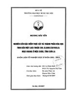Nghiên cứu đặc diểm thực vật và thành phần hóa học tinh dầu một loài thuộc chi elsholtzia willd mọc hoang ở mộc châu, tỉnh sơn la