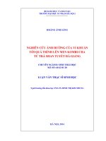 Nghiên cứu ảnh hưởng của vi khuẩn tới quá trình lên men kombucha từ trà shan tuyết hà giang (LV01192)