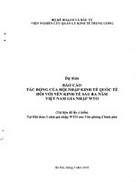Dự thảo báo cáo tác động của hội nhập kinh tế quốc tế đối với nền kinh tế sau ba năm việt nam gia nhập WTO 