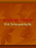 Bài giảng điện tử mầm non lớp Chồi đề tài Thơ hoa quanh lăng Bác