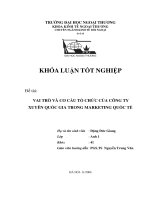Vai trò và cơ cấu tổ chức của công ty xuyên quốc gia trong marketing quốc tế 