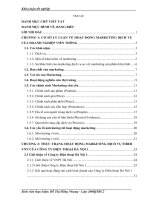 Giải pháp hoàn thiện hoạt động Marketing dịch vụ Fiber VNN tại công ty Điện thoại Hà Nội 1