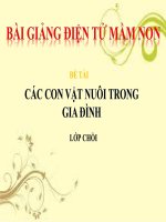 Bài giảng điện tử mầm non lớp Chồi đề tài Vật nuôi trong gia đình