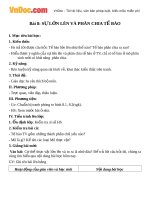 Giáo án sinh học 6 bài sự lớn lên và phân chia tế bào