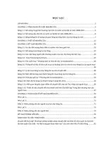 Chuyển đổi mô hình Chợ truyền thống thành mô hình kết hợp Chợ với Trung tâm thương mại  Thực trạng và giải pháp cho mô hình tại chợ Hàng Da