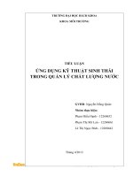 Tiểu luận ứng dụng kỹ thuật sinh thái trong quản lý chất lượng nước