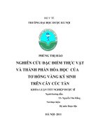 Nghiên cứu đặc điểm thực vật và thành phần hoá học của tơ hồng vàng kí sinh trên cây cúc tần