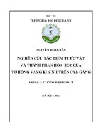 Nghiên cứu đặc điểm thực vật và thành phần hoá học của tơ hồng vàng kí sinh trên cây găng