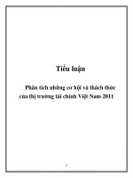 Phân tích những cơ hội và thách thức của thị trường tài chính việt nam 2011 