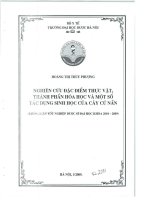 Nghiên cứu đặc điểm thực vật, thành phần hóa học và một số tác dụng sinh học của cây củ nần