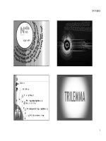 Sự ổn định của bộ ba bất khả thi và các mẫu hình kinh tế võ mô quốc tế 