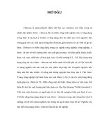 Đồ án nghiên cứu tìm hiểu ứng dụng chitin, chitosan