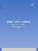 Mẫu business report powerpoint template blue version 