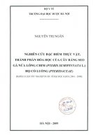 Nghiên cứu đặc điểm thực vật thành phần hóa học của cây ráng seo gà nửa lông chim (pteris semipinnata l ) họ cỏ luồng (pteridaceae)
