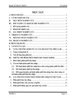 Dựa vào mô hình phân phối thu nhập hãy phân tích phương pháp phân phối thu nhập của việt nam hiện nay  những thành tựu đã đạt được và những khó khăn còn tồn tại 