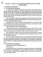 Hoàn thiện chiến lược phát triển thương hiệu cho công ty TNHH công nghệ thông tin blitz việt nam 