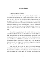 Thực trạng và giải pháp triển khai có hiệu quả chương trình 135 trên địa bàn tỉnh Lai Châu