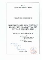 Nghiên cứu đặc điểm thực vật thành phần hoá học tầm gửi cây na ở tỉnh hoà bình