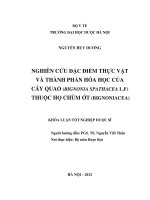 Nghiên cứu đặc điểm thực vật và thành phần hóa học của cây quao ( bignonia spathacea l f) thuộc họ chùm ớt ( bignoniacea)
