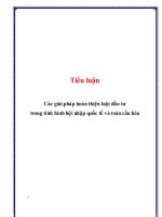 Các giải pháp hoàn thiện luật đầu tư trong tình hình hội nhập quốc tế và toàn cầu hóa 