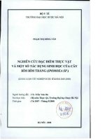 Nghiên cứu đặc điểm thực vật và một số tác dụng sinh học của cây bìm bìm trắng ( ipomoea sp  )